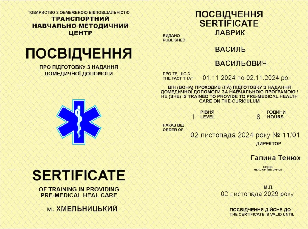 Домедична підготовка
